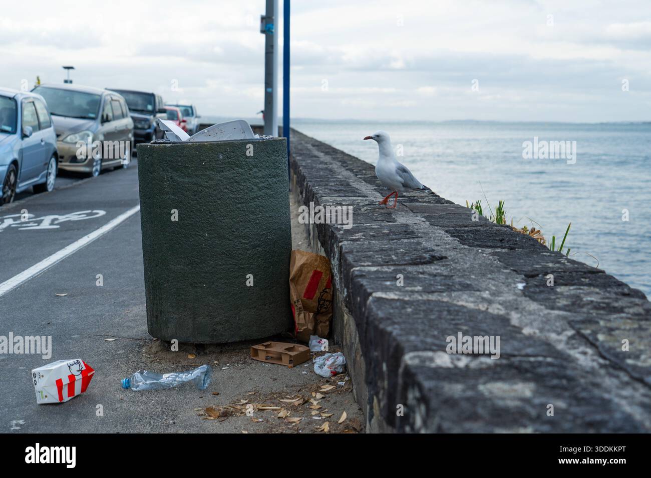 Mouette perchée sur un mur de mer à côté d'une poubelle débordante, avec des ordures dispersées et l'océan visible en arrière-plan, mettant en évidence le p côtier Banque D'Images