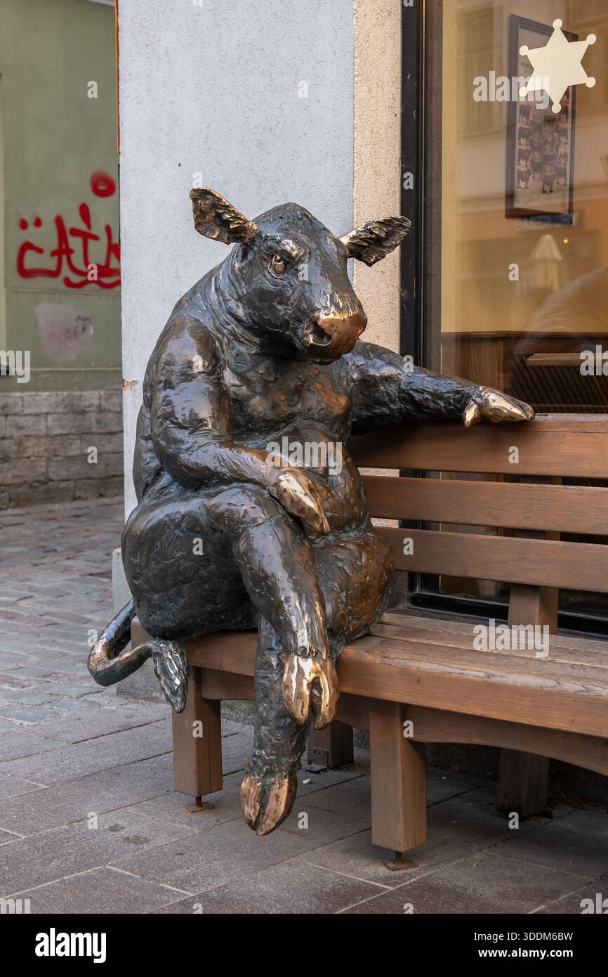 Black Angus Bull assis sur un banc en bois, sculpture en bronze devant le Goodwin Steak House à Tallinn, Estonie. Banque D'Images