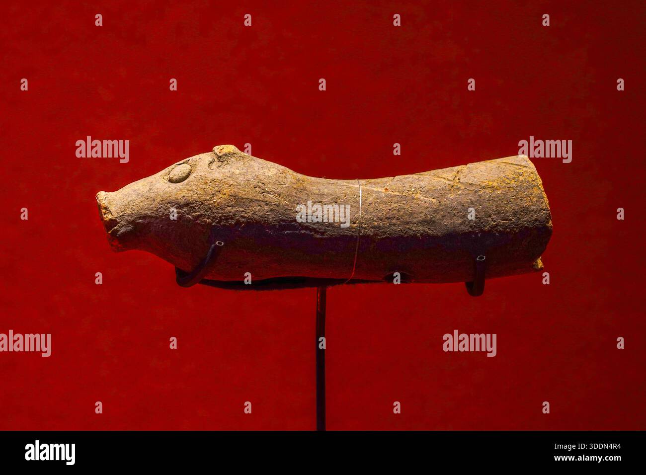 Dragon de cochon de poterie de la dynastie Zhou occidentale en Chine, fouillé à partir de l'ancien site de la rue Fangchi à Chengdu, Sichuan Banque D'Images