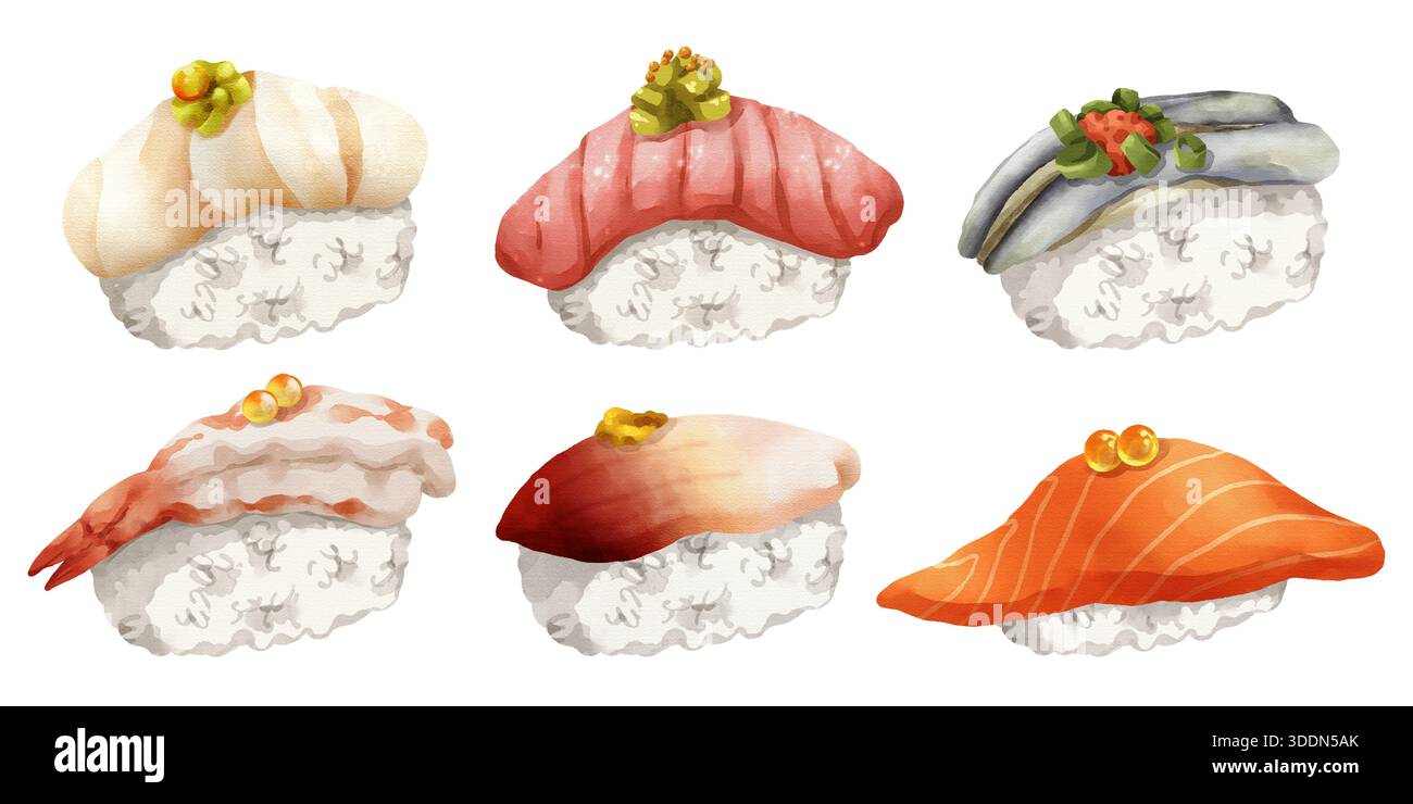 Ensemble d'illustration d'aquarelle dessinée à la main Premium réaliste de sushi Nigiri japonais traditionnel. Avec Saint-Jacques, thon gras, sardine, crevettes douces, s Banque D'Images