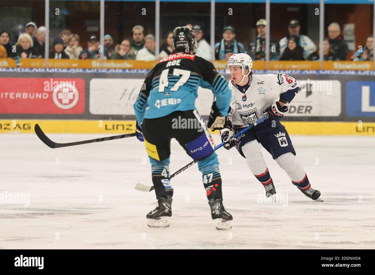 31.12.2025, Linz, AUT, Unterwegs in Oberösterreich, Steinbach Black Wings Linz, Hydro Fehervar AV 19, Win2day ICE Hockey League, Linz AG Eisarena, Eishockey, Linz, Oberoesterreich, im Bild Donat Horvath, Hydro Fehervar AV 19, Logan Roe, Steinbach Black Wings Linz, *** 31 12 2025, Linz, AUT, on the Road in Upper Austria, Steinbach Black Wings Linz, Hydro Fehervar AV 19, Win2day ICE Hockey League, Linz AG Eisarena, hockey sur glace, Linz, haute Autriche, Donat Horvath, Hydro Fehervar AV 19, Logan Roe, Steinbach Black Wings Linz, Banque D'Images