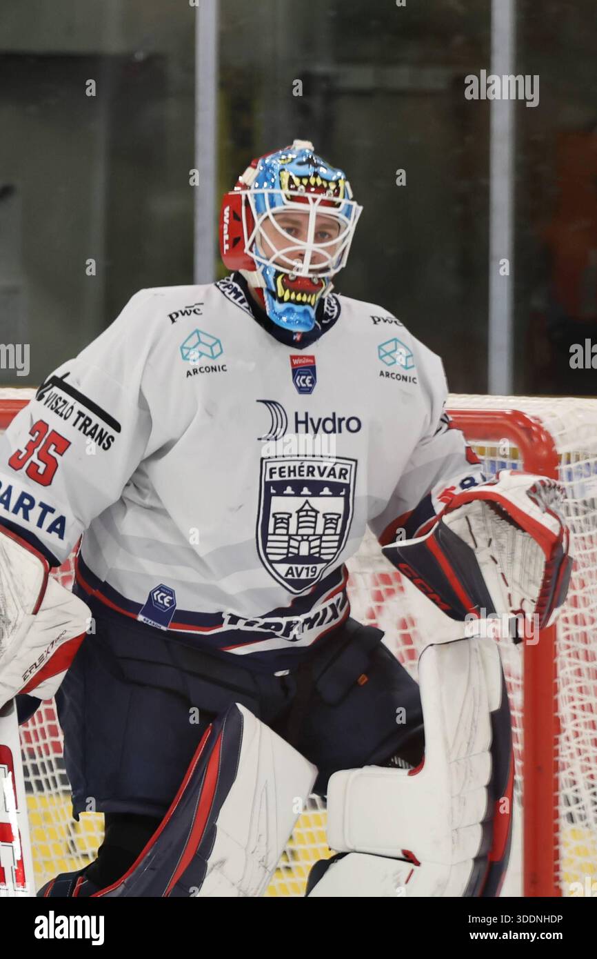 31.12.2025, Linz, AUT, Unterwegs in Oberösterreich, Steinbach Black Wings Linz, Hydro Fehervar AV 19, Win2day ICE Hockey League, Linz AG Eisarena, Eishockey, Linz, Oberoesterreich, im Bild Dominik Horvath, Hydro Fehervar AV 19, *** 31 12 2025, Linz, AUT, sur la route en haute-Autriche, Steinbach Black Wings Linz, Hydro Fehervar AV 19, Win2day ICE Hockey League, Linz AG Eisarena, hockey sur glace, Linz, haute-Autriche, sur la photo Dominik Horvath, Hydro Fehervar AV 19, Banque D'Images