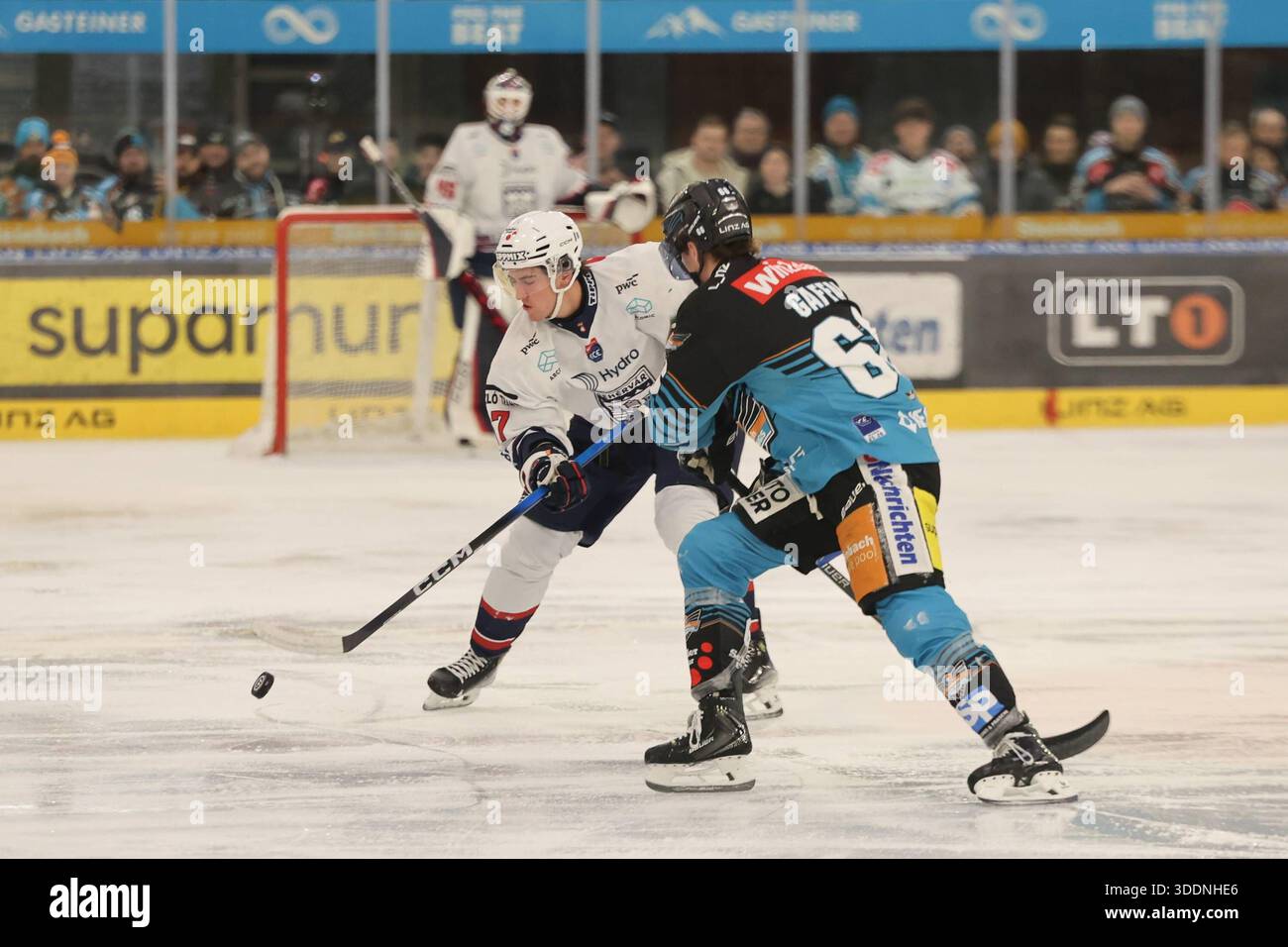 31.12.2025, Linz, AUT, Unterwegs in Oberösterreich, Steinbach Black Wings Linz, Hydro Fehervar AV 19, Win2day ICE Hockey League, Linz AG Eisarena, Eishockey, Linz, Oberoesterreich, im Bild Donat Horvath, Hydro Fehervar AV 19, Stefan Gaffal, Steinbach Black Wings Linz, *** 31 12 2025, Linz, AUT, on the Road in Upper Austria, Steinbach Black Wings Linz, Hydro Fehervar AV 19, Win2day ICE Hockey League, Linz AG Eisarena, hockey sur glace, Linz, haute-Autriche, sur la photo Donat Horvath, Hydro Fehervar AV 19, Stefan Gaffal, Steinbach Black Wings Linz, Banque D'Images