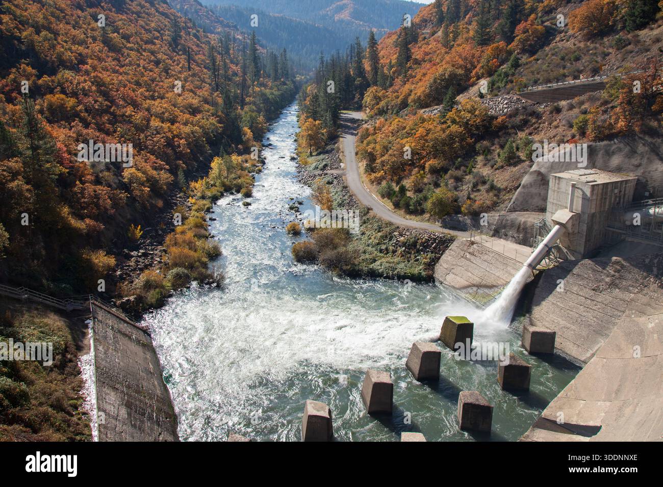 Rivière Pit qui coule en aval du barrage Pit 3 en automne, entourée d'un feuillage automnal vibrant et d'un paysage de canyon accidenté dans le comté de Shasta, en Californie. Banque D'Images