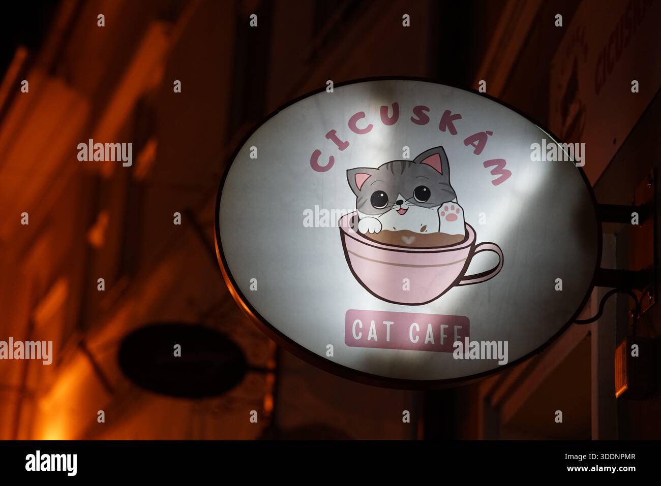 Illuminé "Cat Café" signe avec un chaton de dessin animé mignon la nuit à Eger, Hungary.Eger, Hungary Banque D'Images