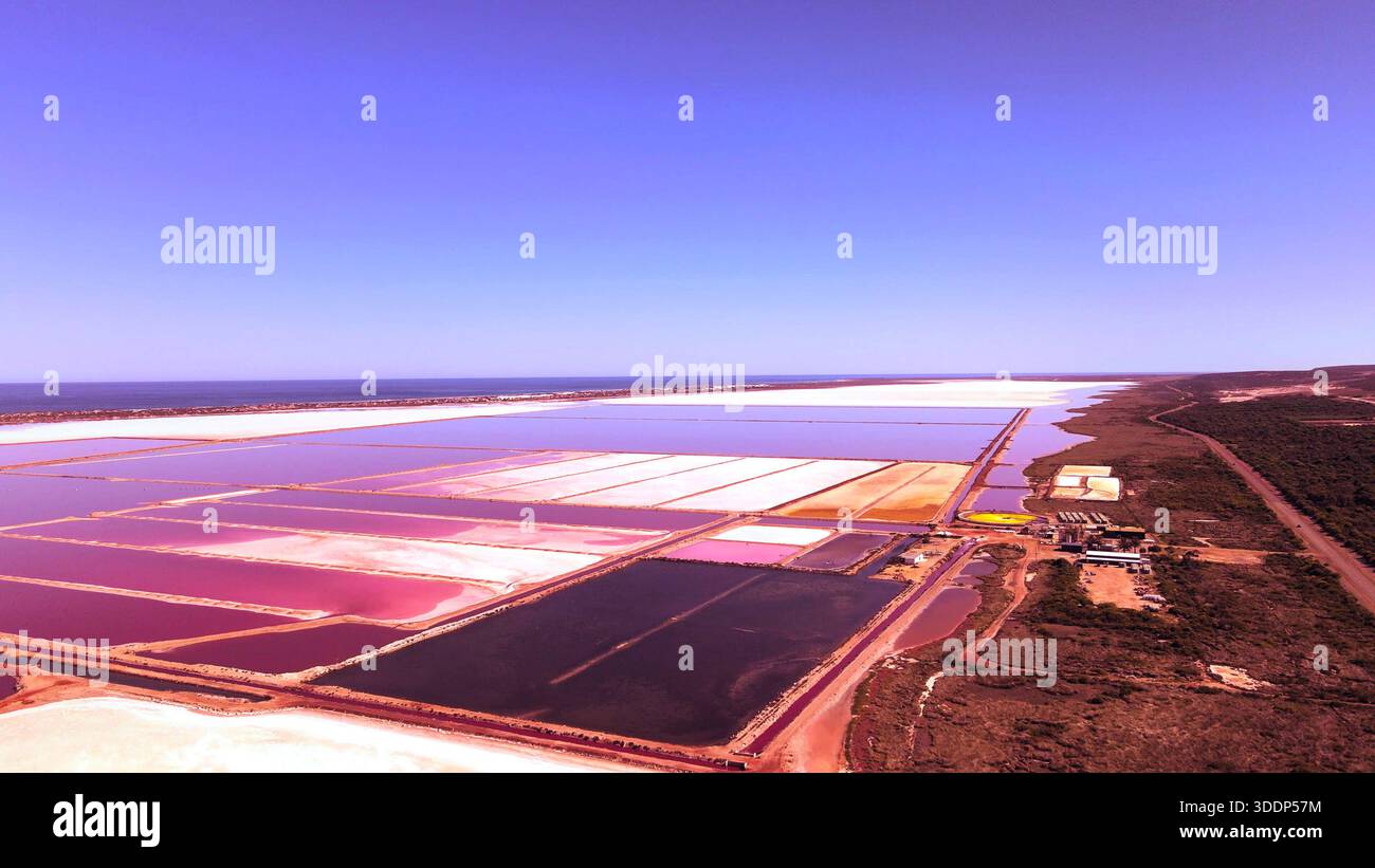 Une vue aérienne met en valeur de vastes étendues salines à l'eau rose et une installation industrielle. Le paysage présente de nombreux étangs et un ciel bleu clair. Banque D'Images