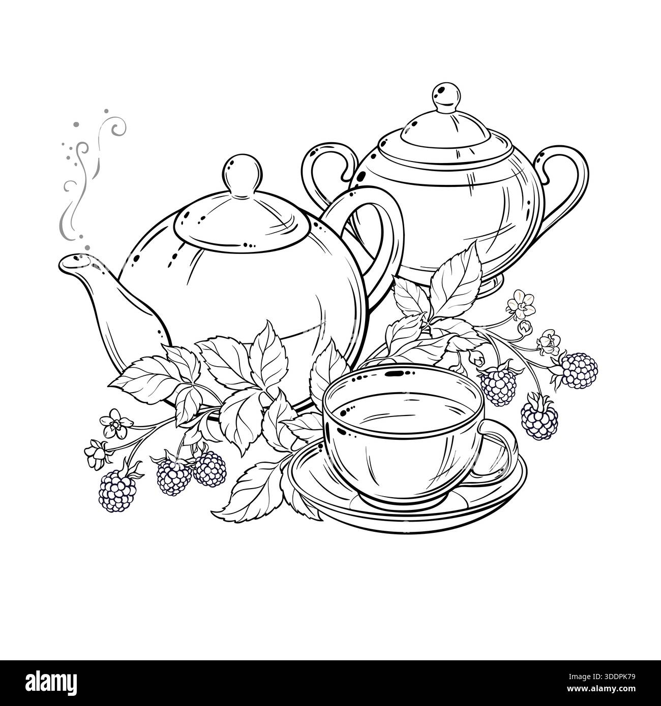 Illustration du contour du thé BlackBerry dans la théière. Illustration de Vecteur