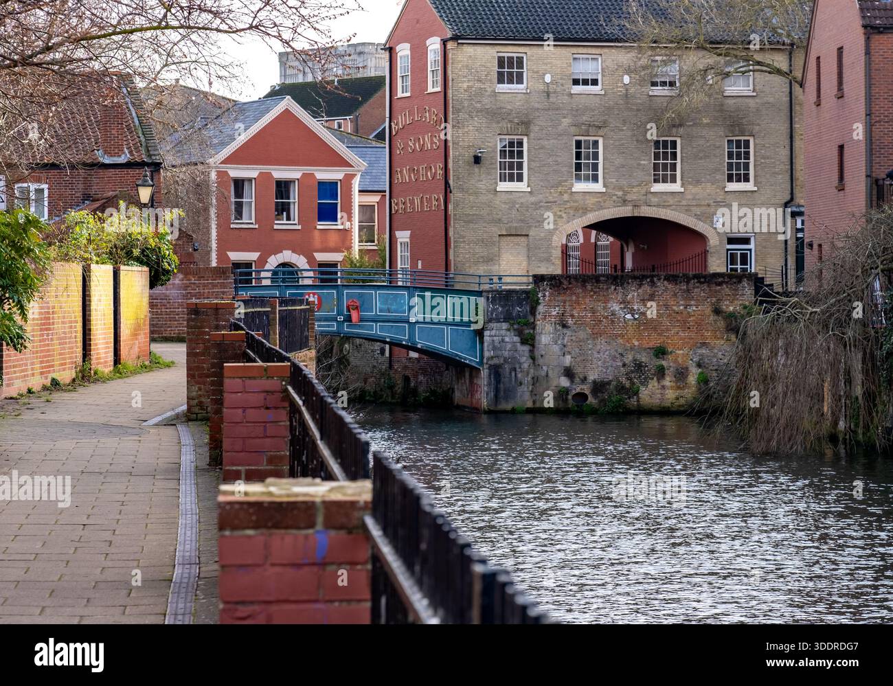 Sentier pédestre le long de la rivière Wensum dans la ville de Norwich Banque D'Images