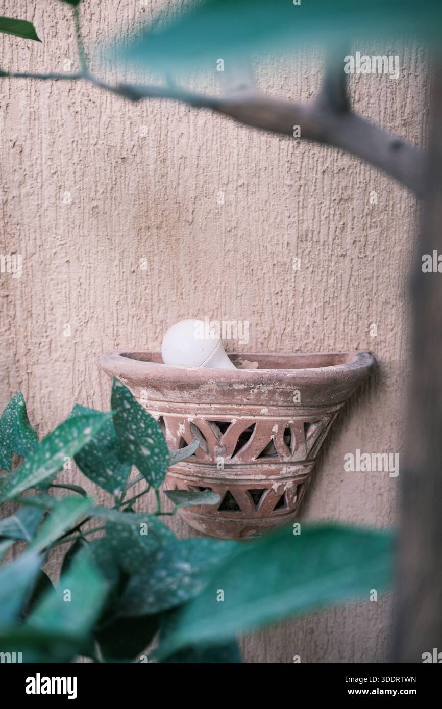 Luminaire mural en argile avec ampoule exposée encadrée par le feuillage du jardin dans une maison du Caire, Egypte Banque D'Images