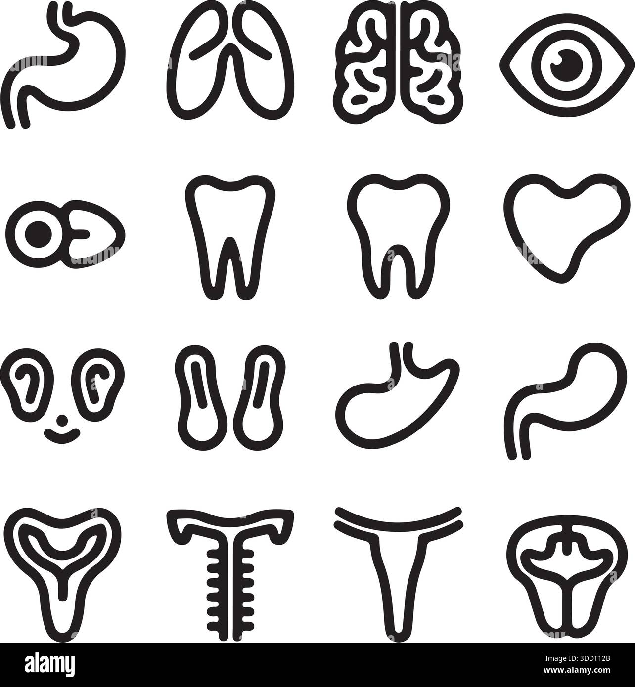 Icônes de parties du corps humain Set Medical Anatomy Vector illustration Illustration de Vecteur