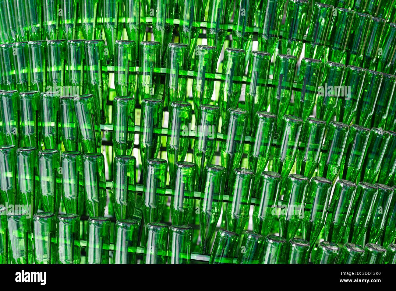 Fond de bouteilles en verre vert vides. Recyclage et réutilisation des bouteilles en verre . Banque D'Images