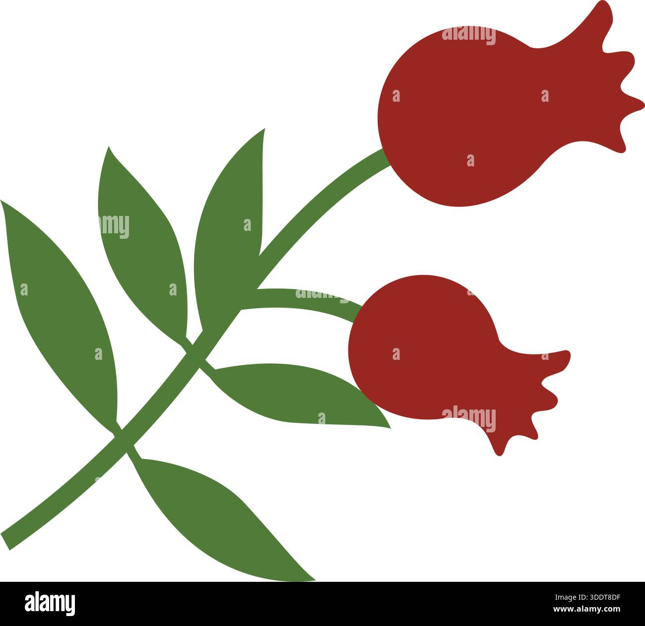 Esquisse de grenade dessinée à la main avec branche, feuilles et icône de vecteur de silhouette de fleur Illustration de Vecteur