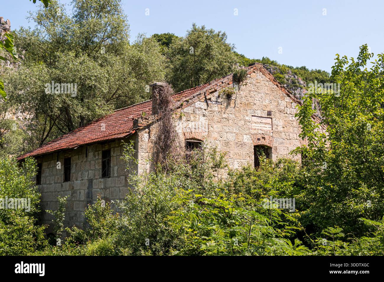 Vieille maison abandonnée dans la forêt de montagne en Bulgarie. Banque D'Images