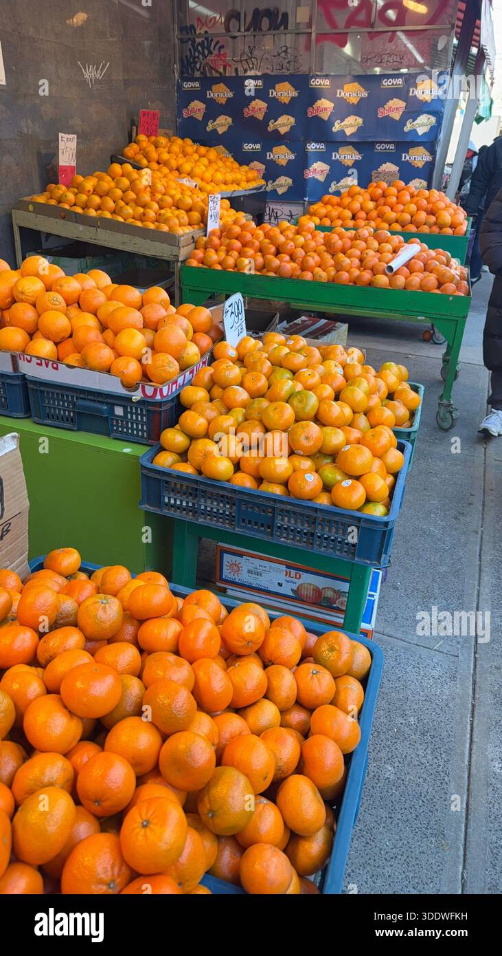 Les oranges et autres agrumes sont toujours abondants aux États-Unis cultivés en Californie et en Floride principalement. Marché local le long de l'avenue U à Brooklyn, New York. Banque D'Images