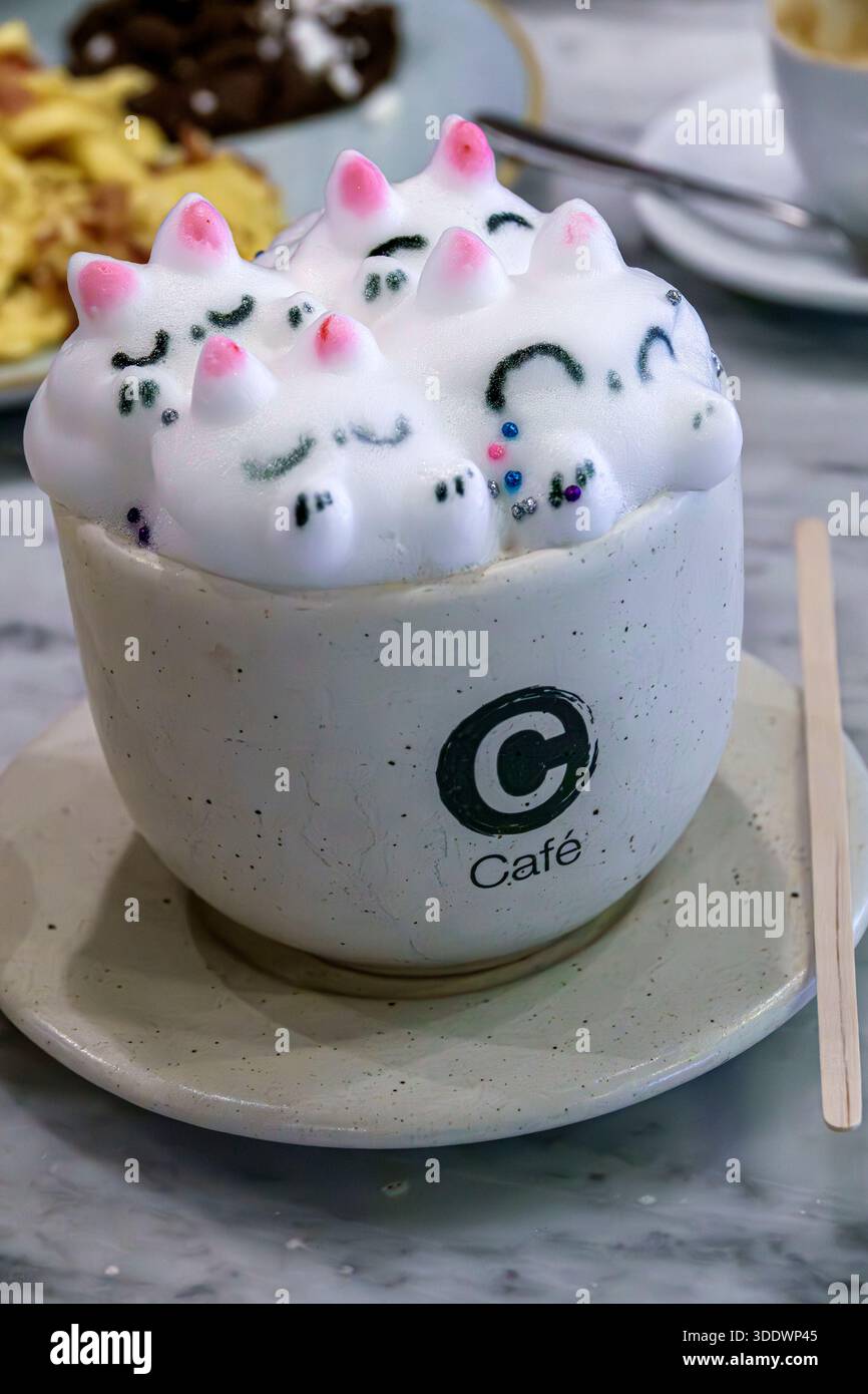 Mexico City Mexique, Benito Juarez, Café C, art de mousse de boisson de café de nouveauté, saupoudrages colorés de mousse de lait en forme de chat, logo de tasse en céramique, café latte créatif bev Banque D'Images