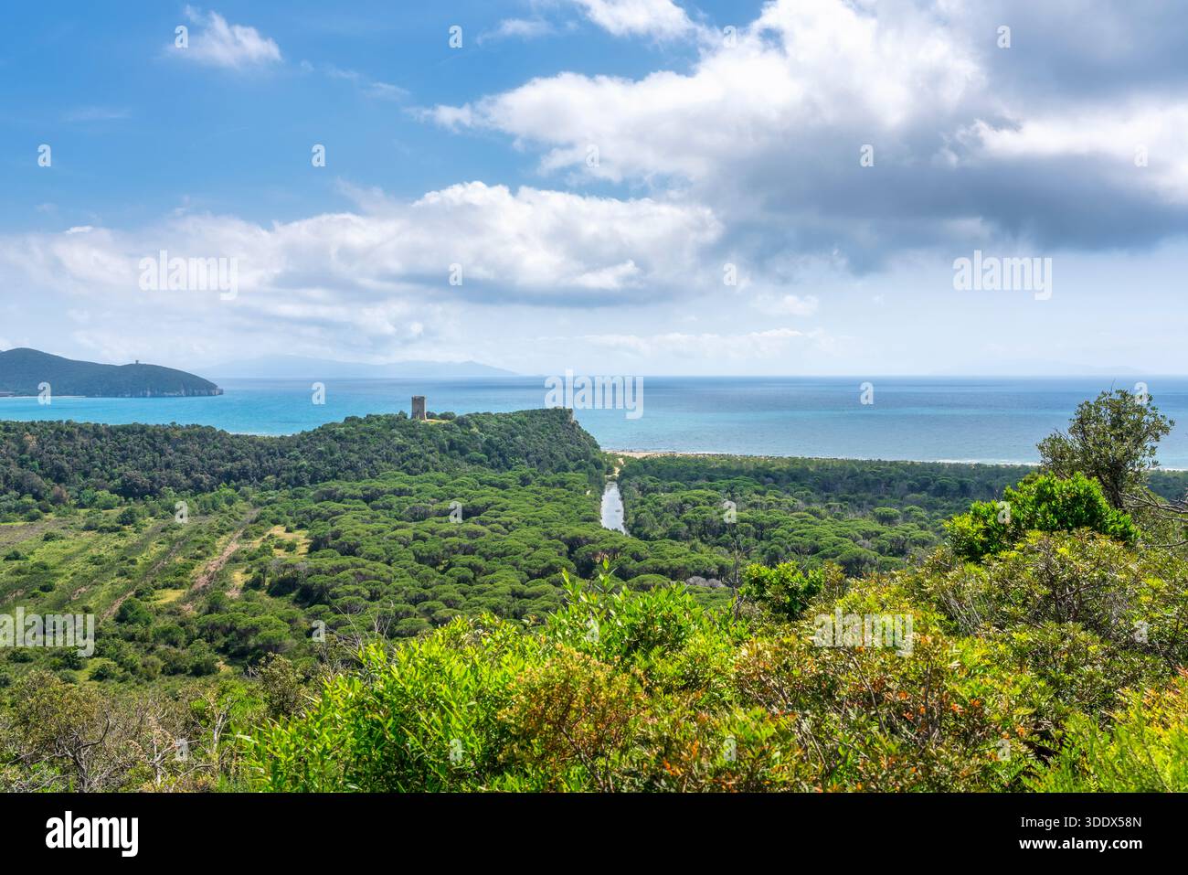 Vue panoramique de dessus du parc régional de la Maremme, Uccellina, avec la tour Collelungo. Paysage côtier avec forêt de pins et mer en Toscane, Italie Banque D'Images