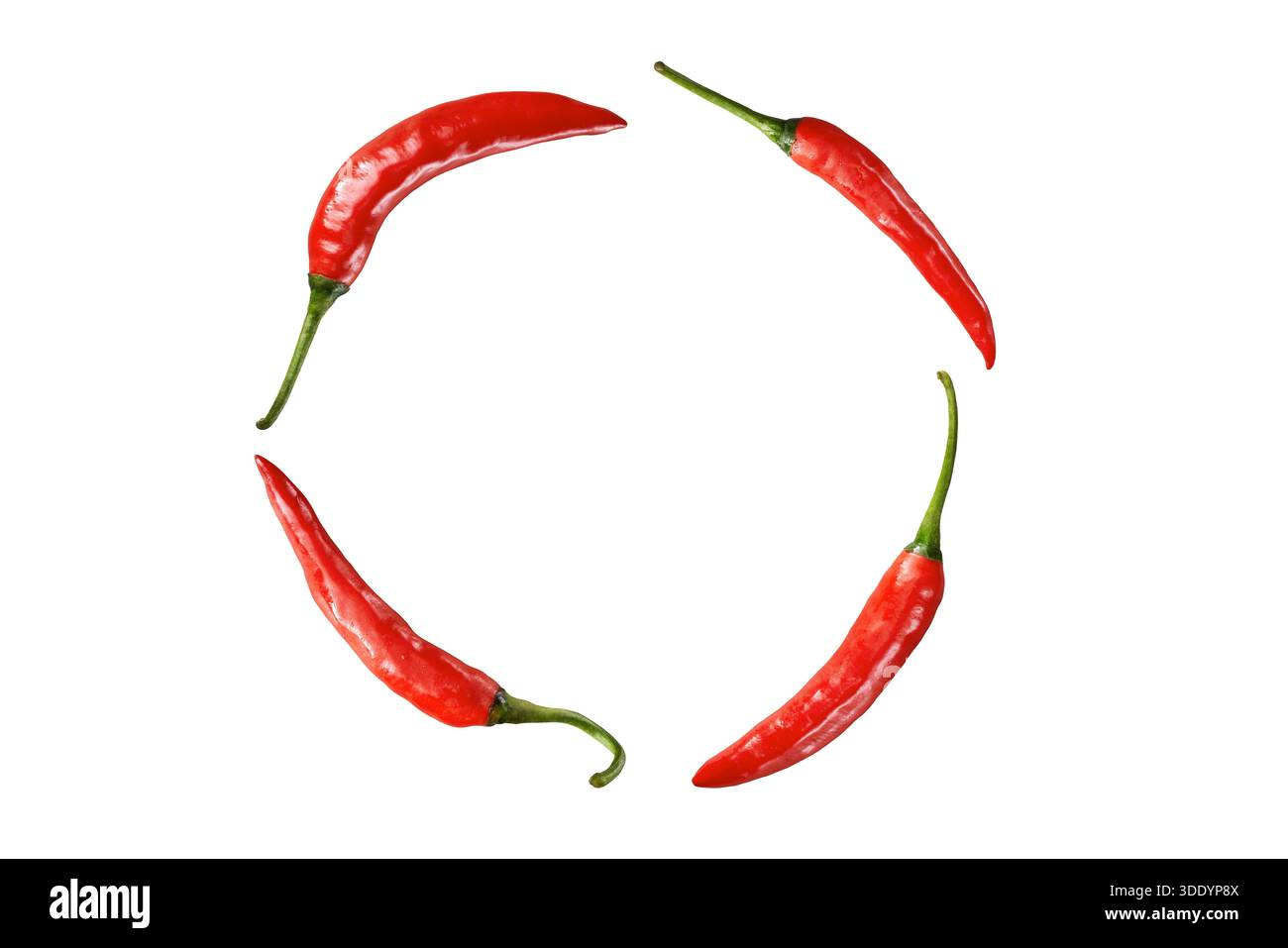 Quatre piments rouges frais formant un cercle sur fond blanc Banque D'Images