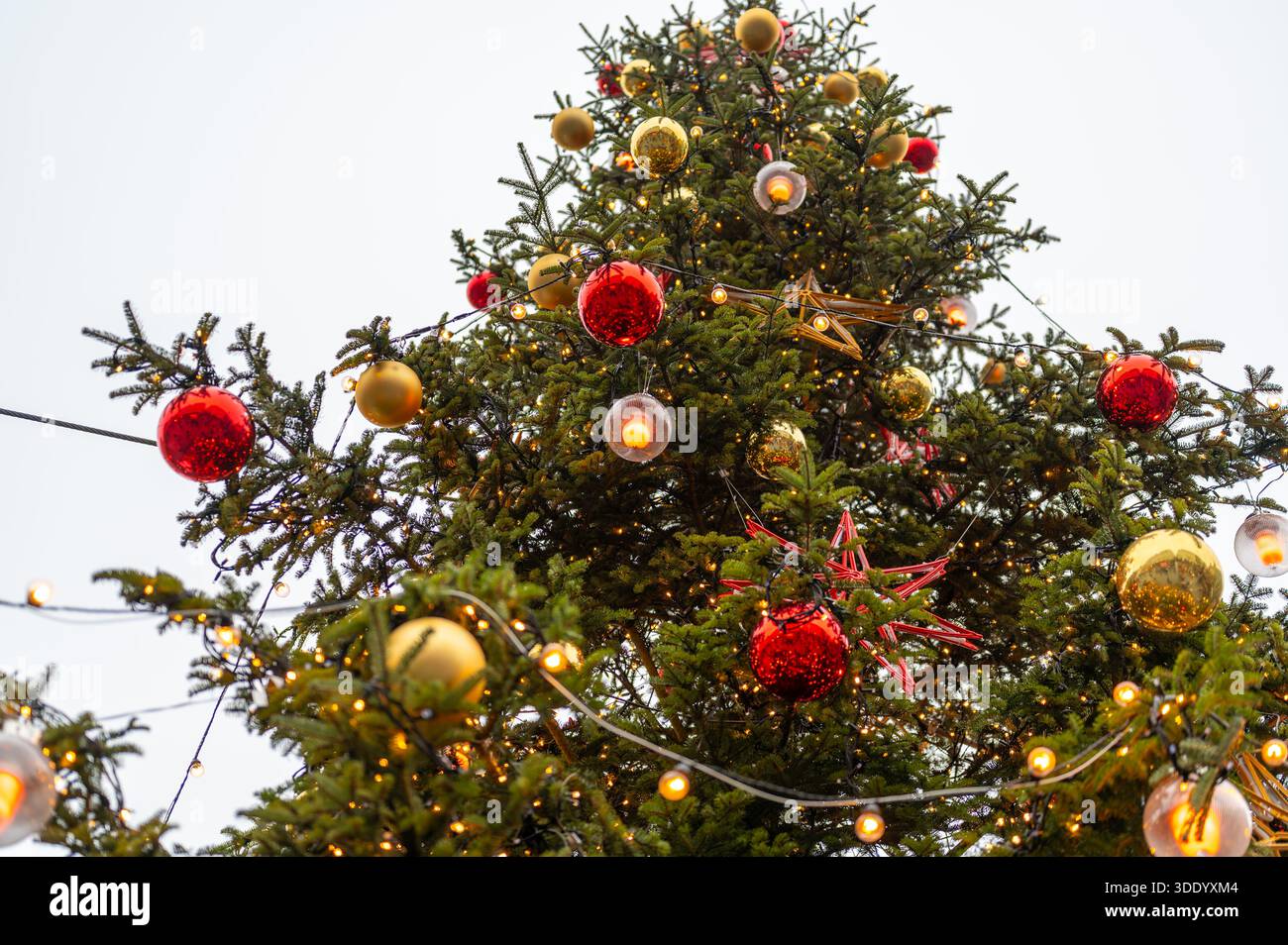 Gros plan sur les décorations de sapin de noël avec des boules rouges et dorées, des ornements en forme d'étoile et des lumières chaudes imitant le feu, ambiance festive de vacances Banque D'Images