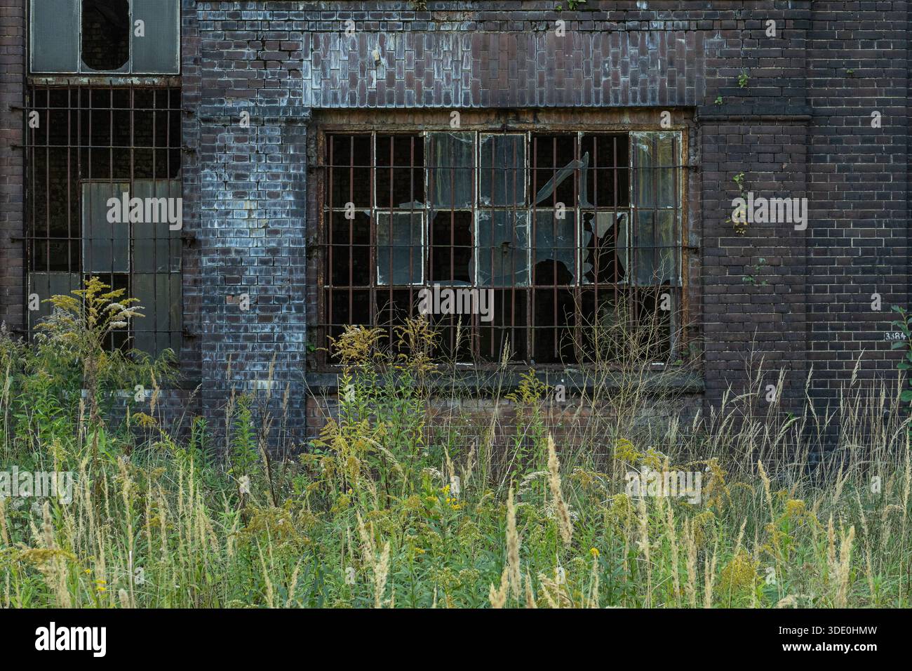 Vue rapprochée d'un mur industriel de briques détérioré avec des fenêtres endommagées et des barres métalliques entourées de plantes sauvages Banque D'Images