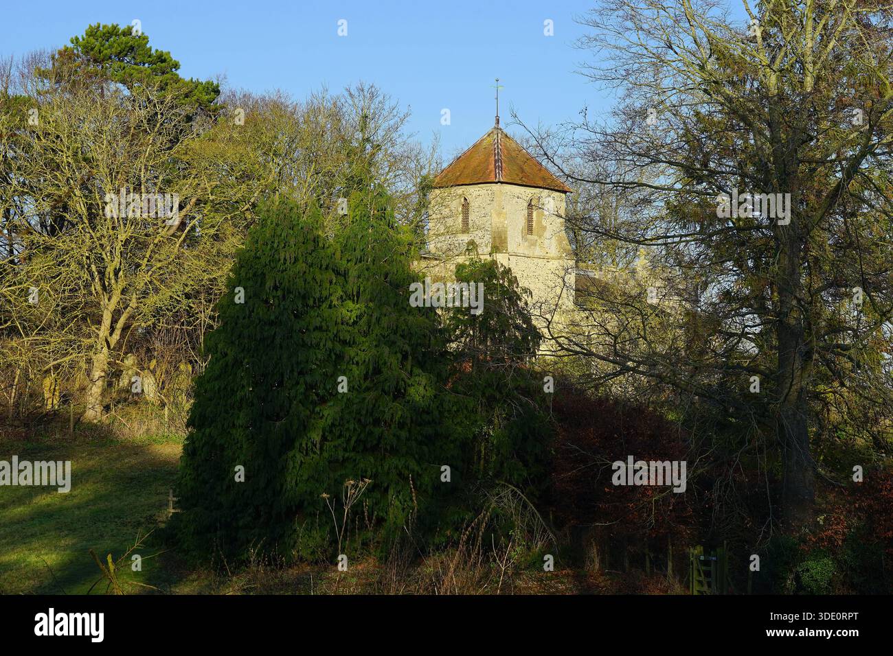 Église Sainte Marie la Vierge, Clothall Banque D'Images