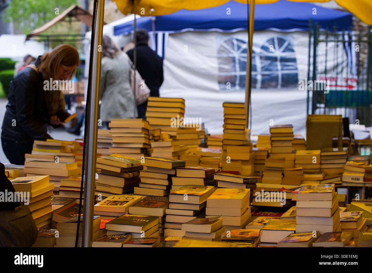 30 ème anniversaire de la fête du livre a Redu. Le livre en version papier s'affiche sur les étals des libraires et collectionneurs à travers tout le Banque D'Images