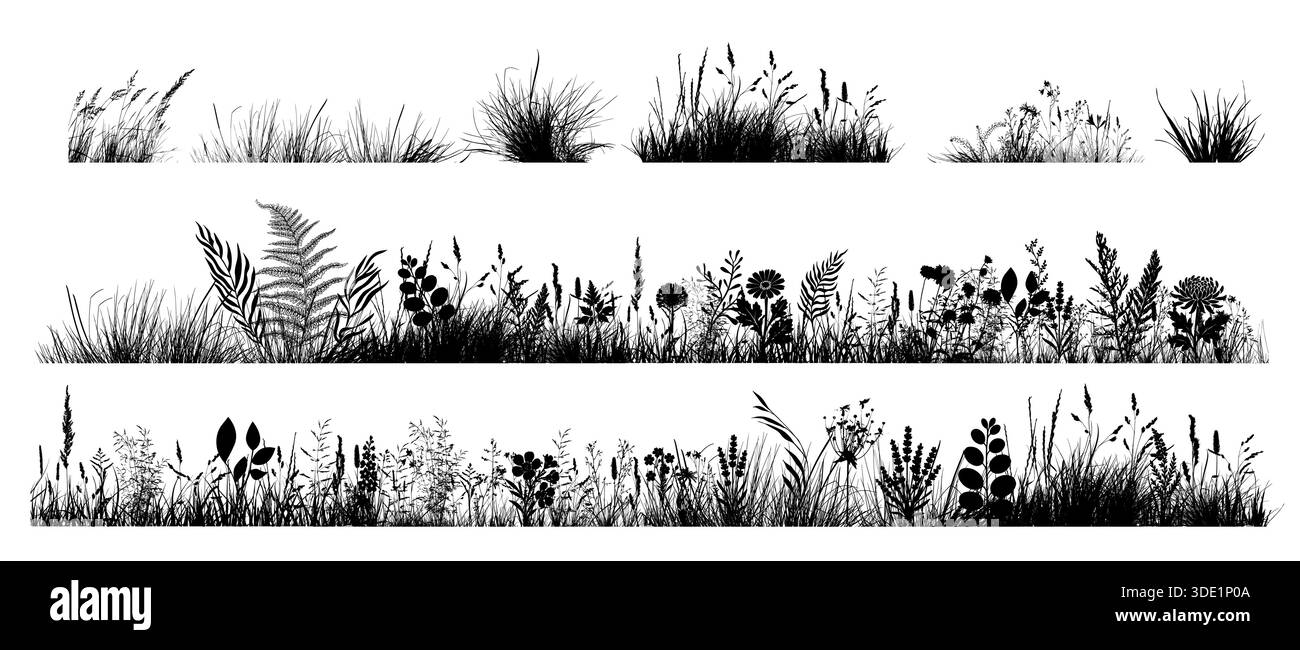 Silhouette de l'horizon de l'herbe. Bordure, printemps de prairie, dessiné à la main. Pas ai, illustration vectorielle Illustration de Vecteur