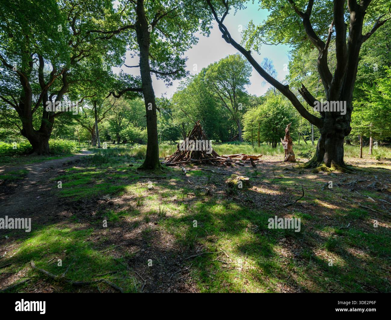 Abri en bois primitif fait de grumes et de branches dans un Green Forest Clearing, survie extérieure et concept de Bushcraft Banque D'Images