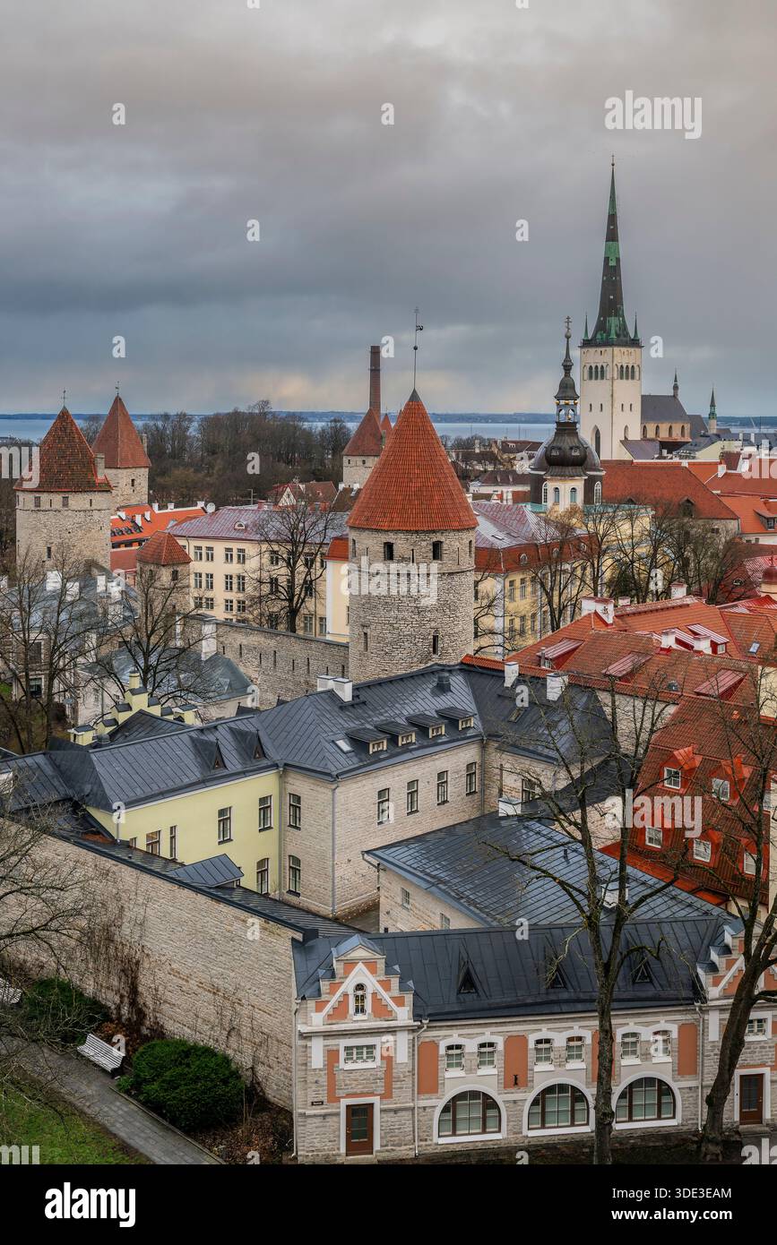 Vue panoramique de la vieille ville, Tallinn, Harju, Estonie Banque D'Images