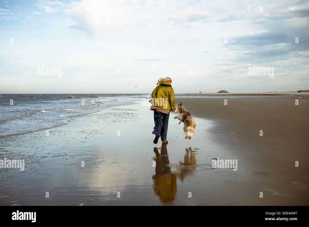 Femme courant avec un chien sur la plage vide de la mer du Nord pendant la promenade joyeuse Banque D'Images
