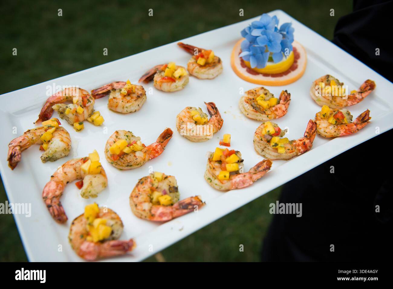Hors-d'œuvre aux crevettes grillées sur le plateau de service Banque D'Images