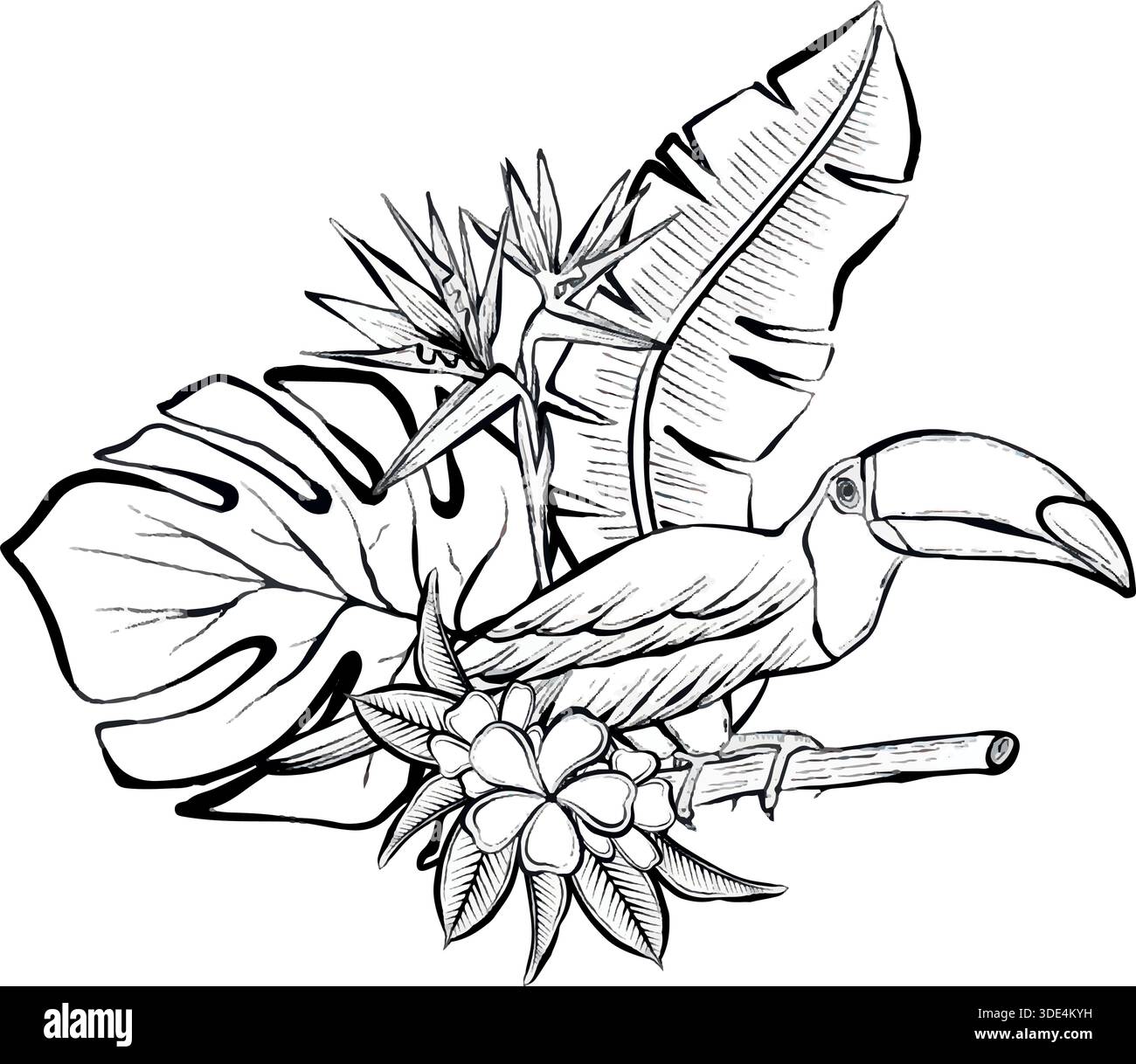Toucan perché sur la branche avec des feuilles tropicales et des fleurs dans l'illustration de ligne vectorielle détaillée, isolé sur fond blanc, graphique botanique de la faune pour logos, impressions, emballages, affiches Illustration de Vecteur