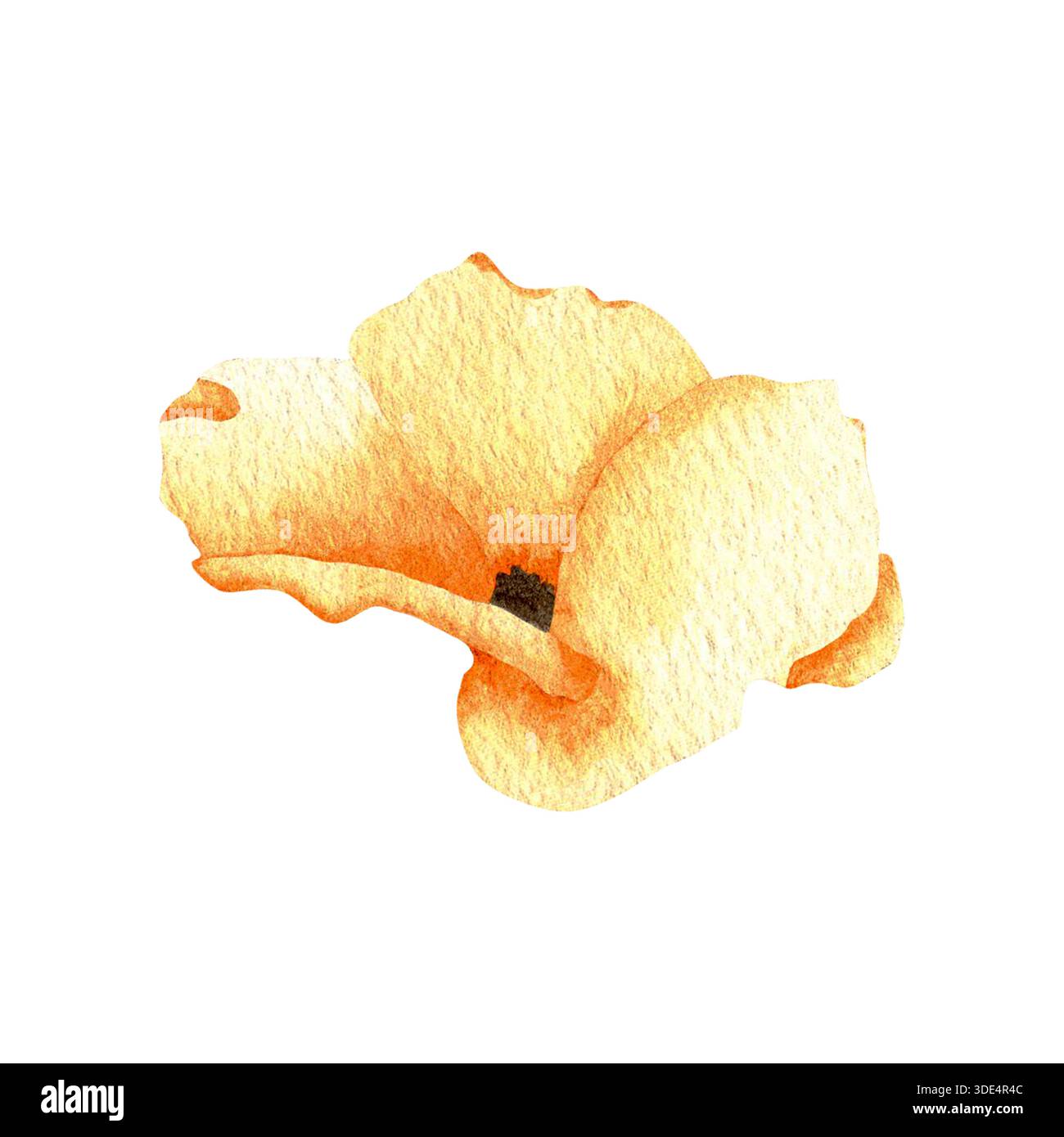 Fleur de pavot de montagne. Illustration abstraite de fleurs sauvages dans les tons de jaune. Illustration botanique dessinée à la main. Clipart de fleurs délicates. Banque D'Images