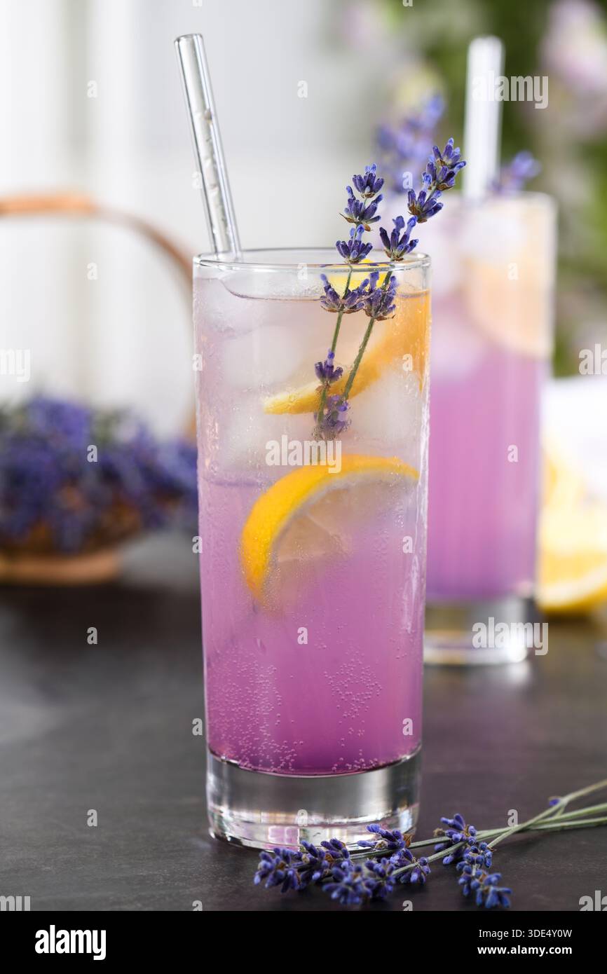 Limonade de lavande rafraîchissante avec de la glace, des tranches de citron et des brins de lavande frais dans un grand verre. Boisson d'été avec espace de copie, adapté à la boisson, w Banque D'Images