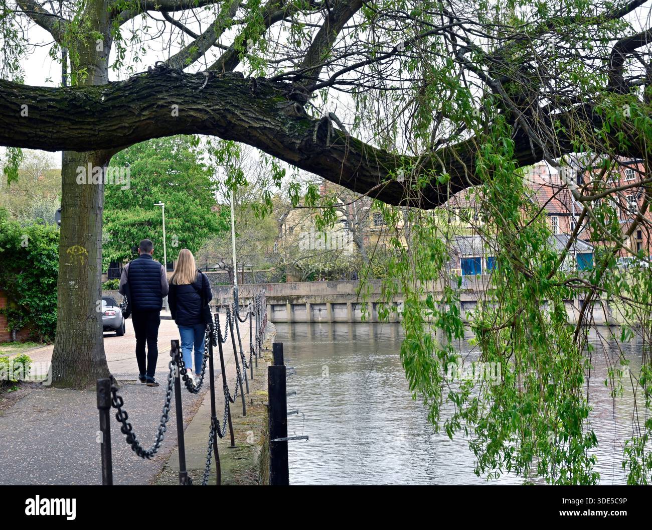 couple marchant à côté de la rivière wensum norwich norfolk angleterre Banque D'Images