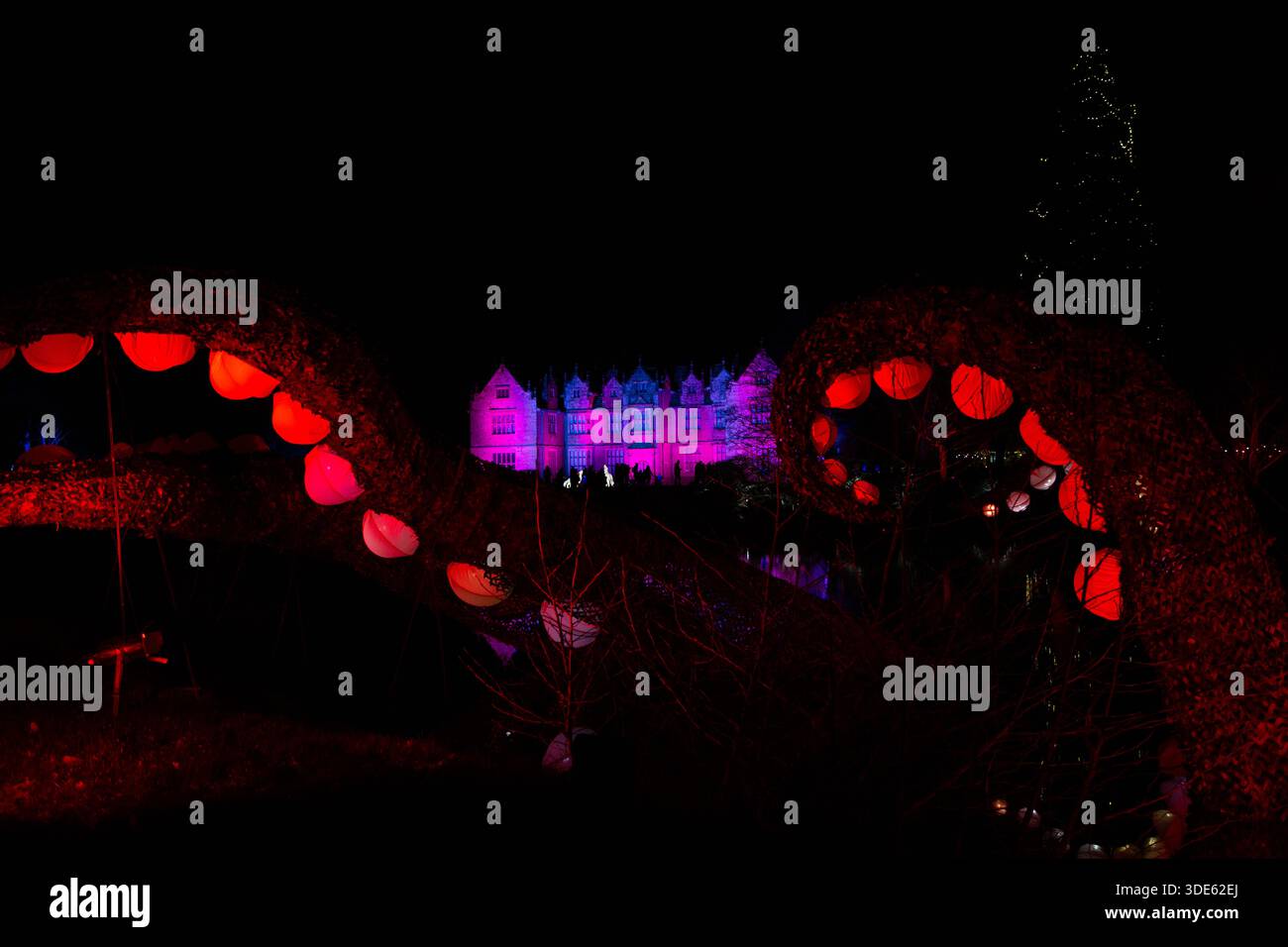 Modèle de tentacules illuminé avec la maison principale derrière à Glow Wild 2026 à Wakehurst, Sussex prise la nuit Banque D'Images