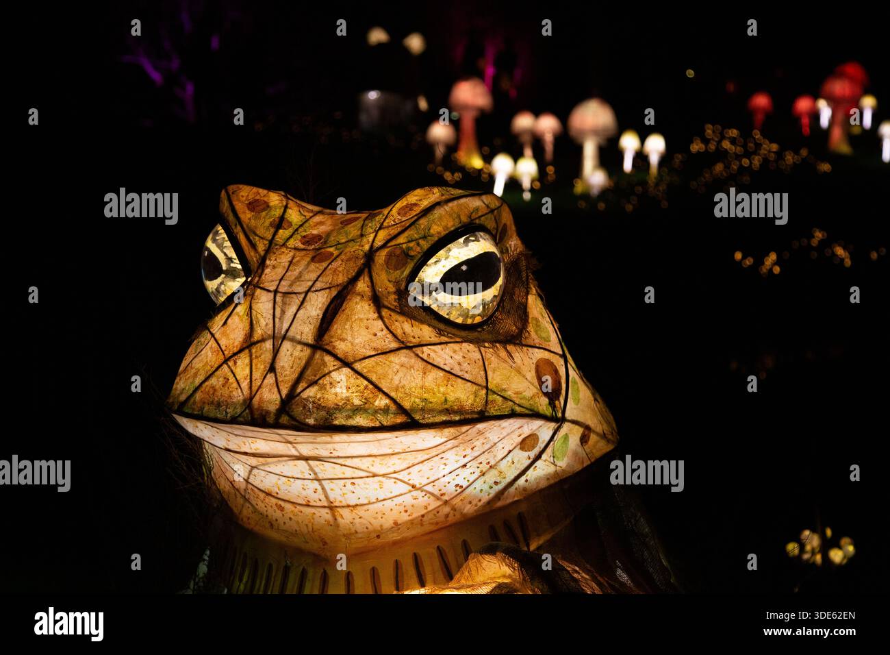 Grenouille modèle illuminée à Glow Wild 2026 à Wakehurst, Sussex prise la nuit Banque D'Images