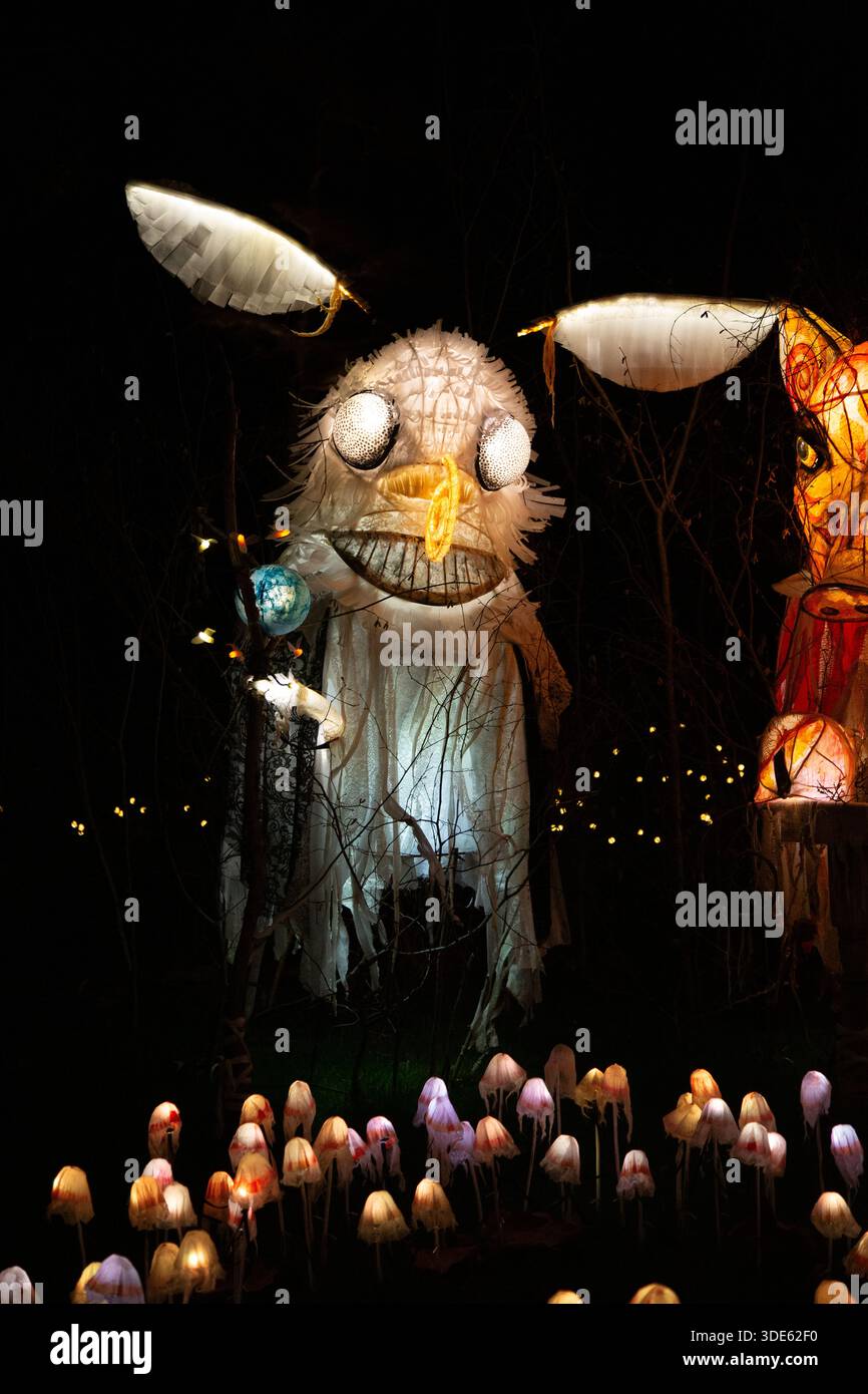 Moth modèle illuminé à Glow Wild 2026 à Wakehurst, Sussex prise la nuit Banque D'Images