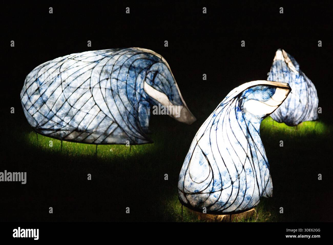 Blaireaux blaireaux illuminés à Glow Wild 2026 à Wakehurst, Sussex pris la nuit Banque D'Images