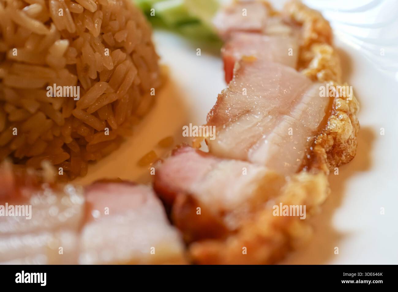 Poitrine de porc croustillante avec riz et concombre. Gros plan de Thai Moo Krob avec la peau croquante. Cuisine de rue asiatique authentique pour les menus des restaurants. Banque D'Images