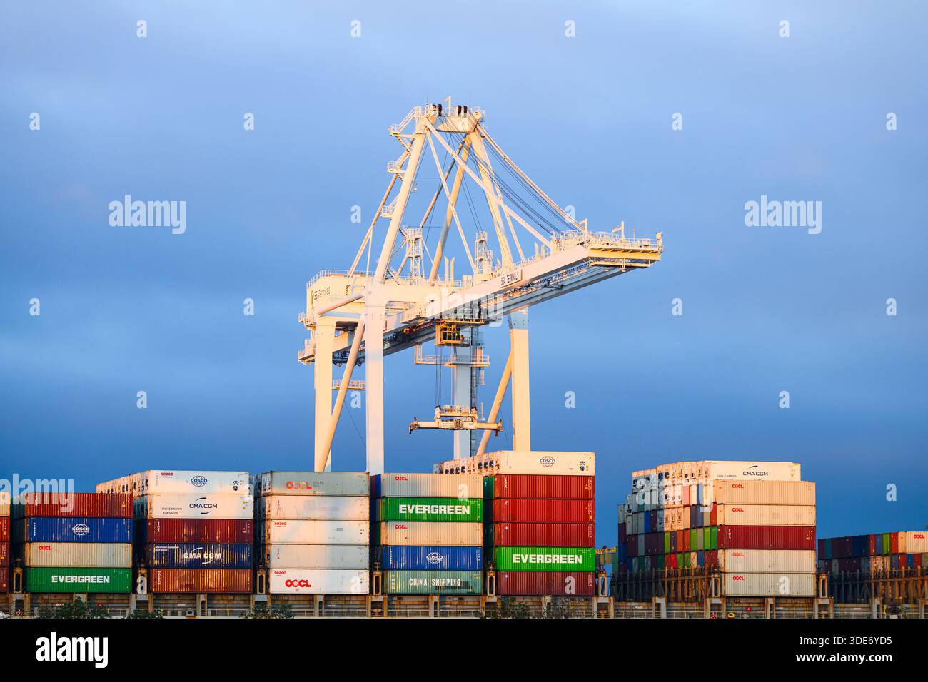 Seattle - 13 décembre 2025 ; grue portuaire industrielle travaillant la pile de porte-conteneurs dans la lumière tôt le matin Banque D'Images