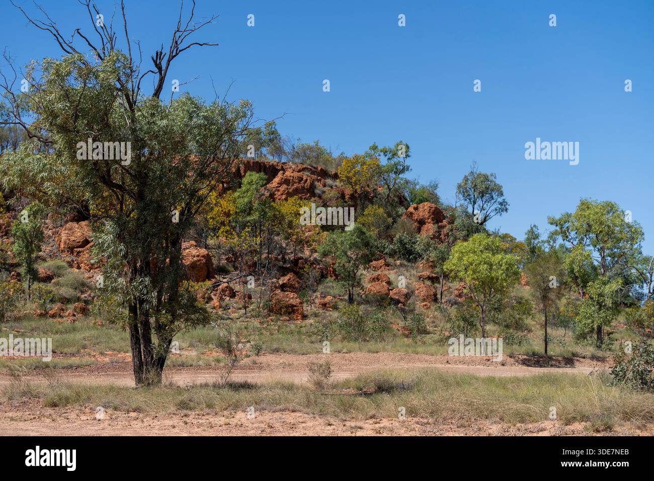 Horsetailer's gorge, Lake Dunn sculpture Trail, Queensland, Australie Banque D'Images
