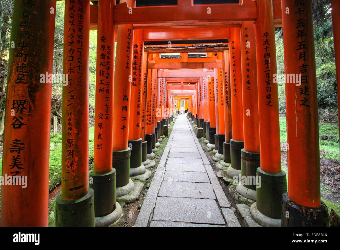 Kyoto, Japon, 10/04/2016 Description : chemin sans fin des portes oranges Torii à Fushimi Inari-taisha. Banque D'Images
