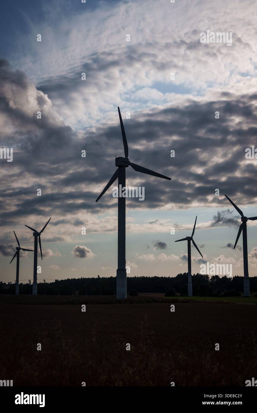 ALSUNGA, LETTONIE. 10 août 2025. WES éoliennes sur la prairie. Banque D'Images