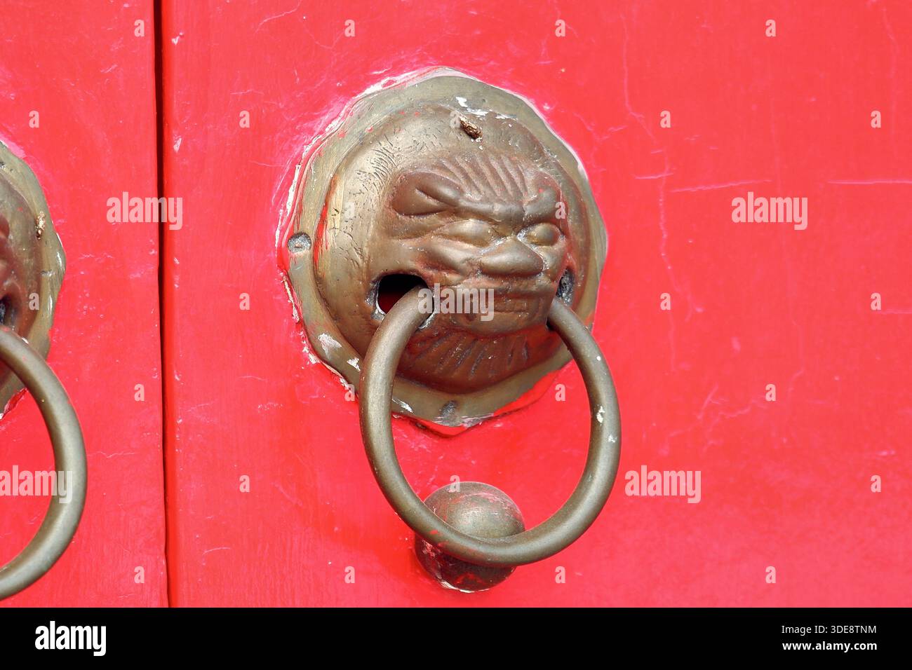 Une tête de lion en bronze frappe un anneau circulaire sur une porte de temple rouge vif au cimetière de Teochew à Bangkok. Décorations de portes chinoises traditionnelles Banque D'Images