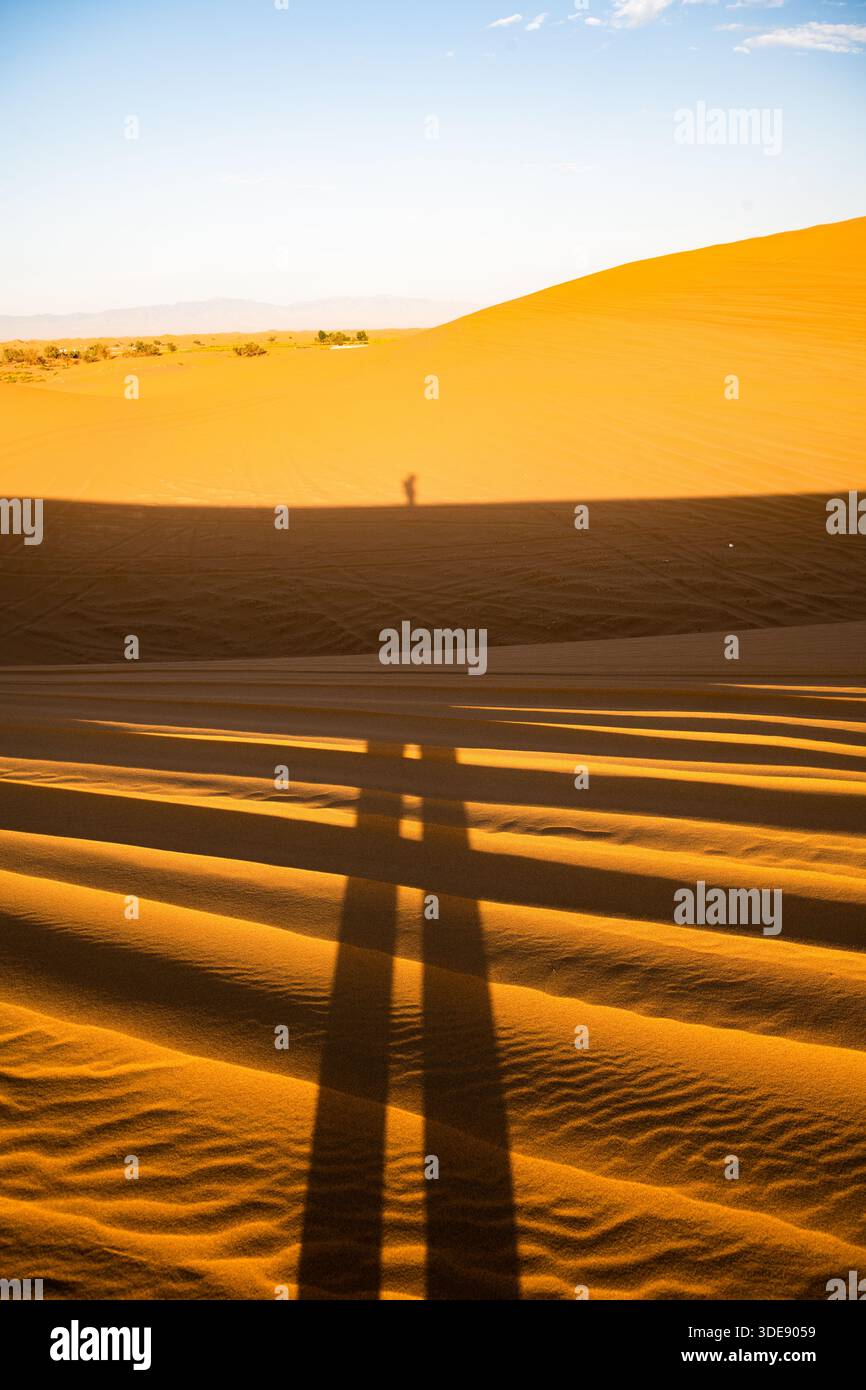 Longue ombre humaine projetée sur les dunes de sable ondulées dans le désert de Tengger, en Chine, sous la lumière du soleil à faible angle. Banque D'Images