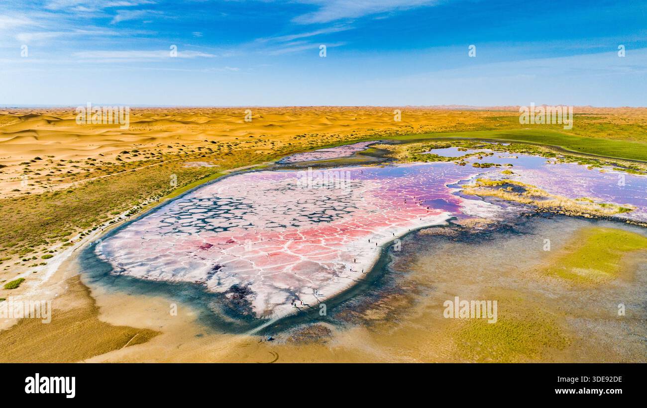 Des étangs hypersalins colorés se sont formés dans le désert de Tengger, en Chine, créés par une évaporation extrême, une salinité élevée et des micro-organismes tolérants au sel. Banque D'Images