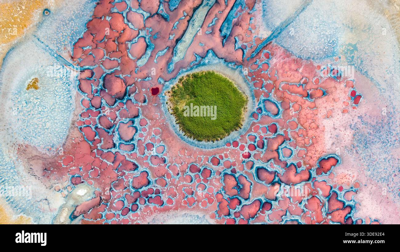 Des étangs hypersalins colorés se sont formés dans le désert de Tengger, en Chine, créés par une évaporation extrême, une salinité élevée et des micro-organismes tolérants au sel. Banque D'Images