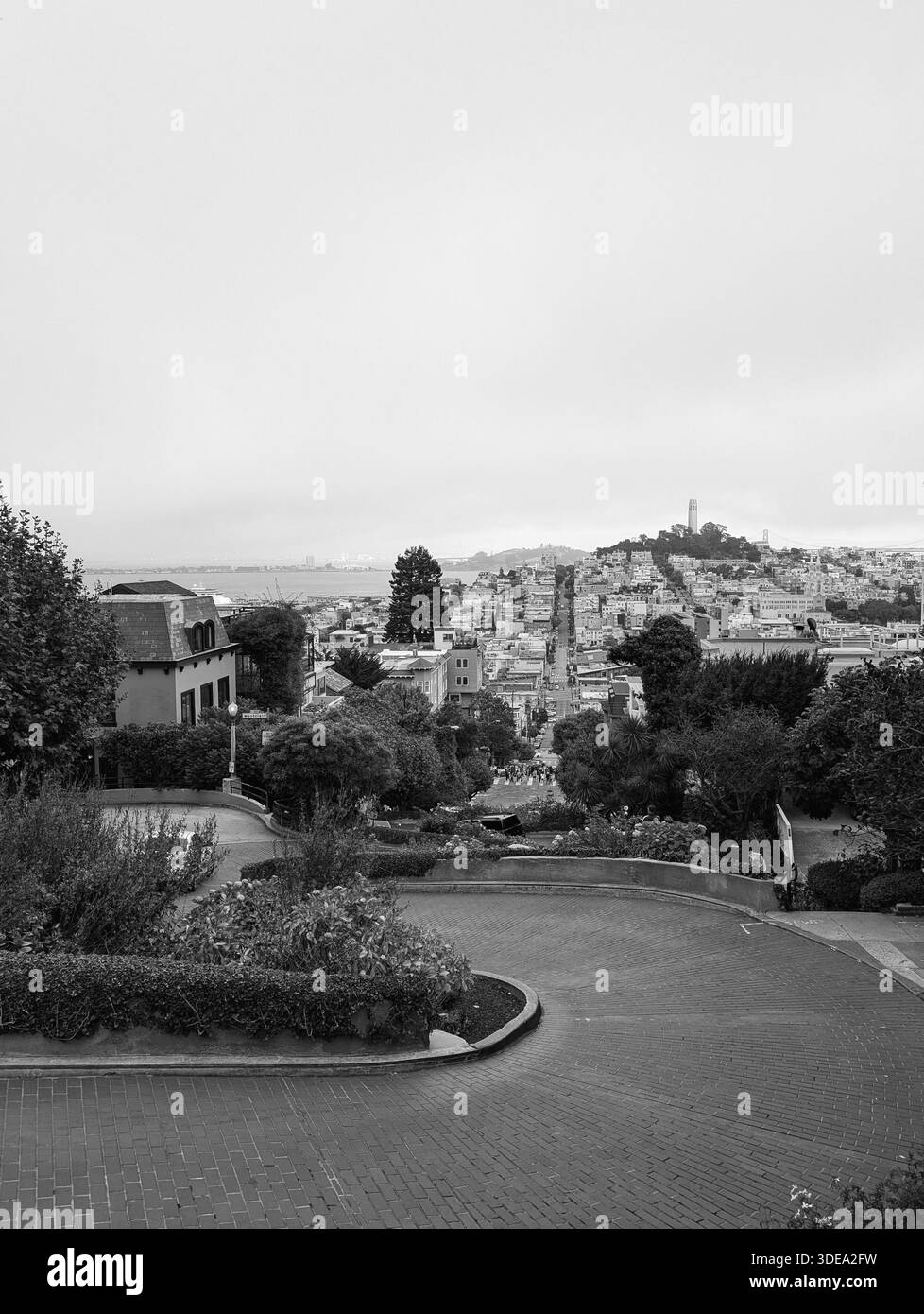 Lombard Street à San Francisco en Californie Banque D'Images