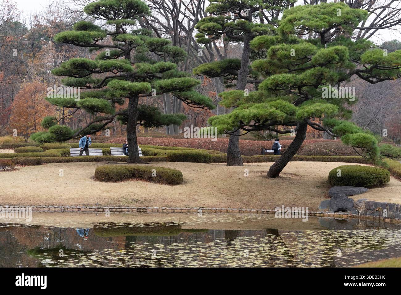 Jardin oriental du Palais impérial, Tokyo Banque D'Images
