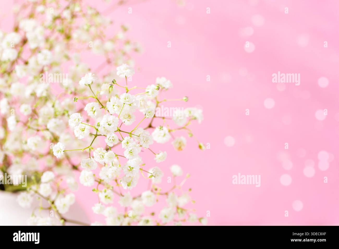 Babys fleurs de souffle sur un fond pastel rose doux avec des lumières. Gros plan. Banque D'Images